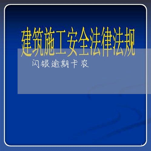 闪银逾期卡农 闪银逾期卡农