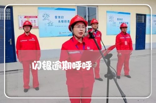 闪银逾期呼呼 闪银逾期呼呼