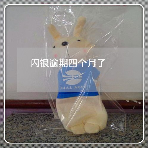 闪银逾期四个月了 闪银逾期四个月了
