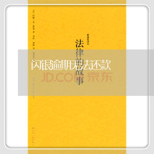 闪银逾期无法还款