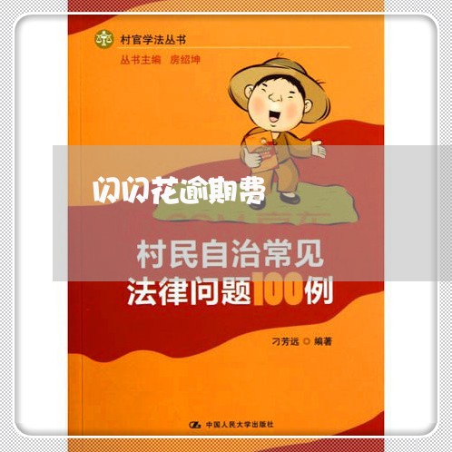 闪闪花逾期费