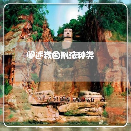 阐述我国刑法种类