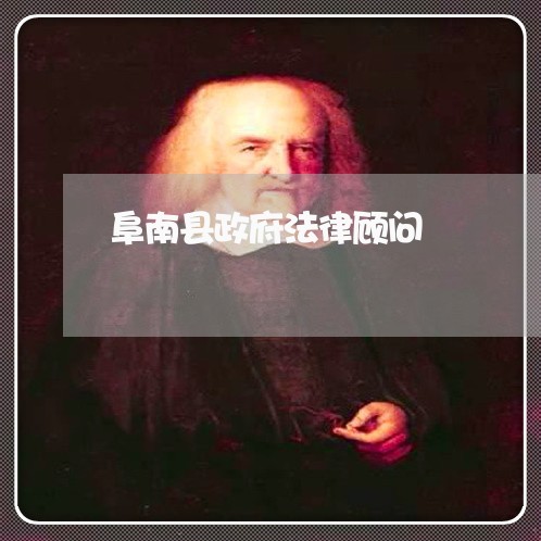 阜南县政府法律顾问 阜南县政府法律顾问