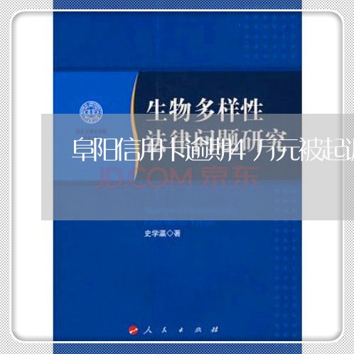 阜阳信用卡逾期4万元被起诉/2023041962594