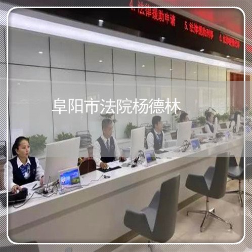 阜阳市法院杨德林