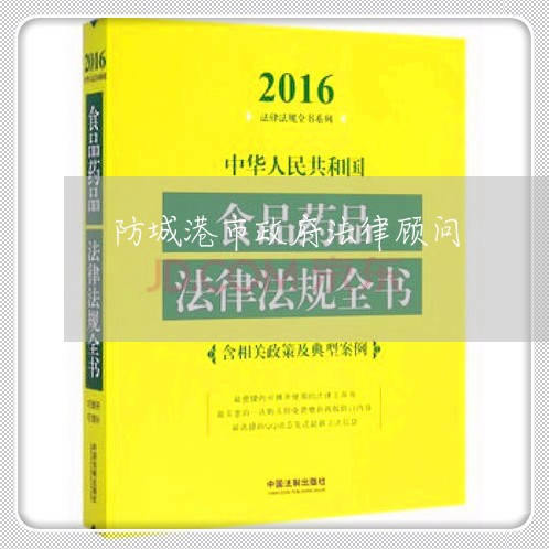 防城港市政府法律顾问 防城港市政府法律顾问