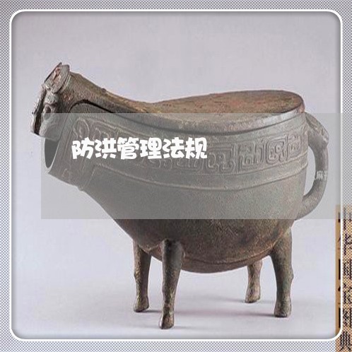 防洪管理法规