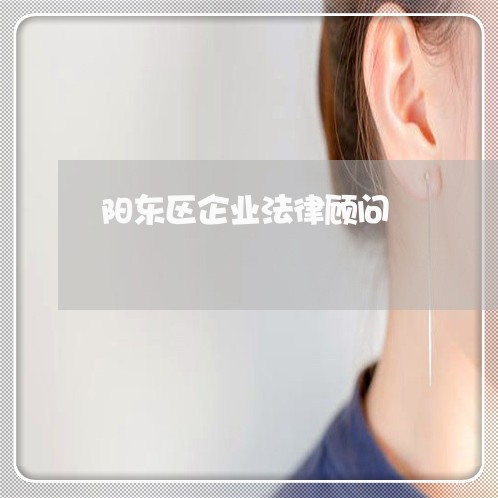 阳东区企业法律顾问 阳东区企业法律顾问