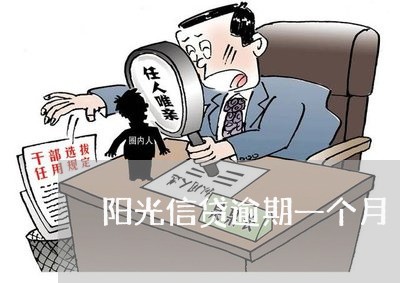 阳光信贷逾期一个月