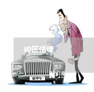 阳区法律 阳区法律
