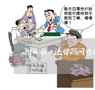 阳曲企业法律顾问咨询/2023061895738 阳曲企业法律顾问咨询/2023061895738