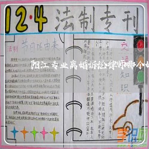 阳江专业离婚诉讼律师哪个好 阳江专业离婚诉讼律师哪个好