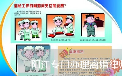 阳江专门办理离婚律师委托流程