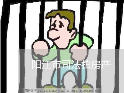 阳江市司法拍房产