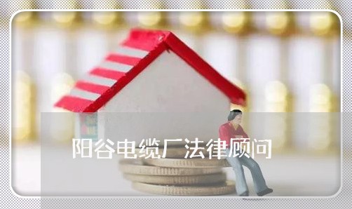 阳谷电缆厂法律顾问 阳谷电缆厂法律顾问