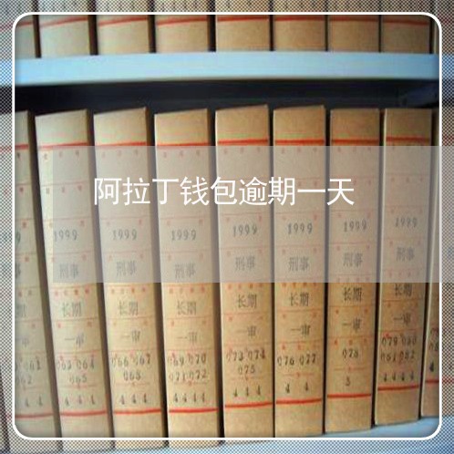 阿拉丁钱包逾期一天 阿拉丁钱包逾期一天