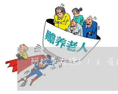 阿拉善右旗316省道交通事故/2023061294927