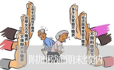 附加税逾期未缴纳 附加税逾期未缴纳