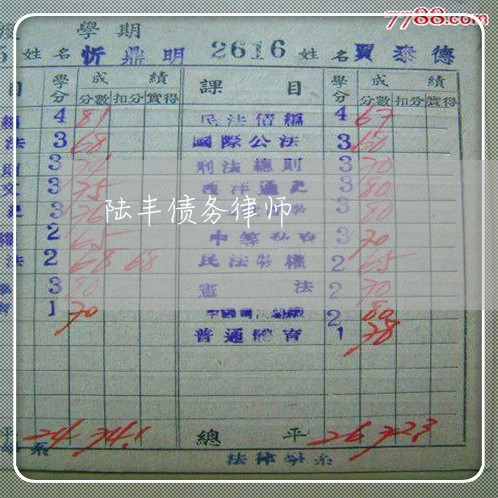 陆丰债务律师