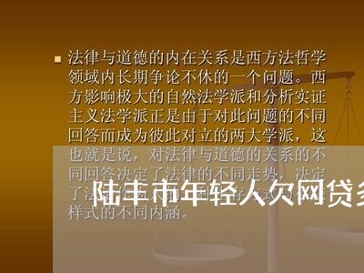 陆丰市年轻人欠网贷多少亿 陆丰市年轻人欠网贷多少亿