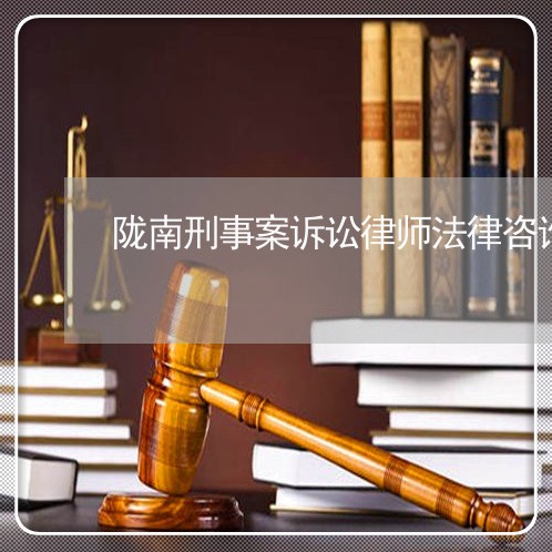 陇南刑事案诉讼律师法律咨询