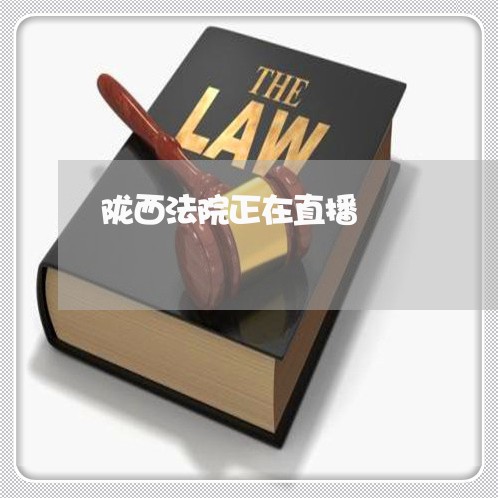 陇西法院正在直播 陇西法院正在直播