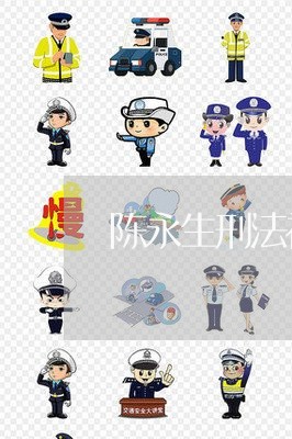陈永生刑法视频法律硕士 陈永生刑法视频法律硕士