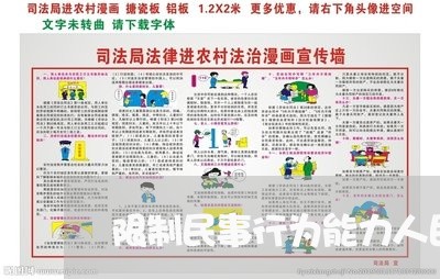 限制民事行为能力人民法修改