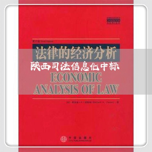 陕西司法信息化中标 陕西司法信息化中标