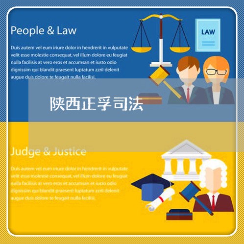 陕西正孚司法