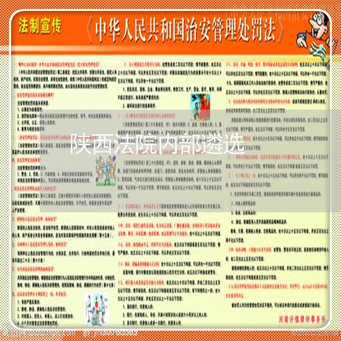 陕西法院内部遴选 陕西法院内部遴选