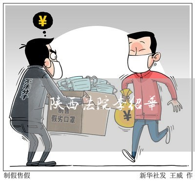 陕西法院李绍华