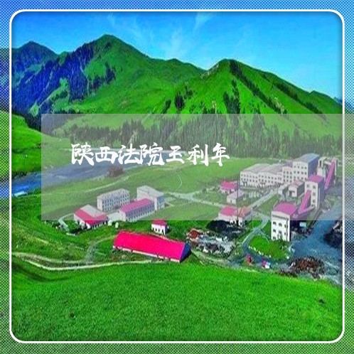 陕西法院王利年 陕西法院王利年