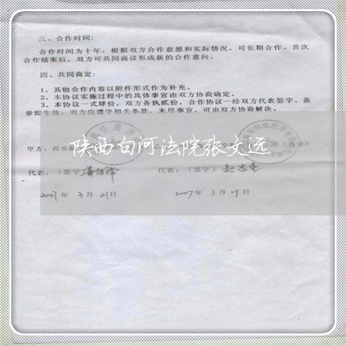 陕西白河法院张文远
