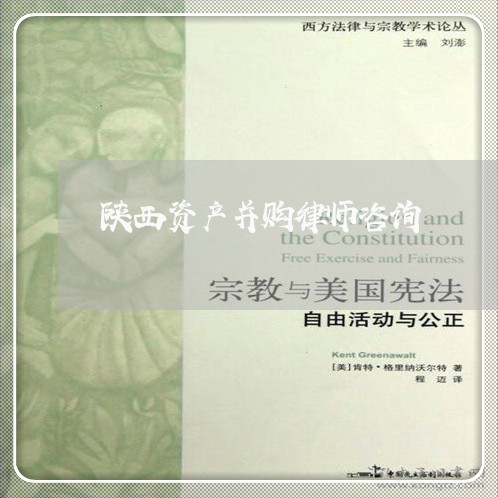 陕西资产并购律师咨询 陕西资产并购律师咨询
