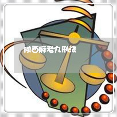 陕西麻老九刑法 陕西麻老九刑法