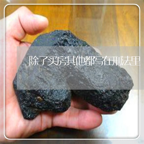 除了买房其他都写在刑法里 除了买房其他都写在刑法里