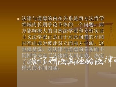 除了刑法其他的法律可怕吗 除了刑法其他的法律可怕吗