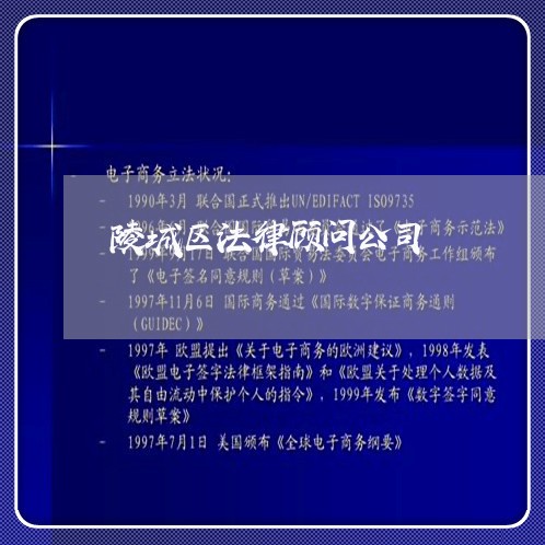 陵城区法律顾问公司/2023061827472