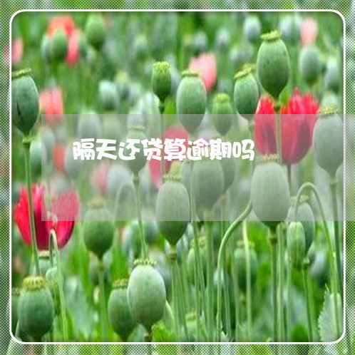 隔天还贷算逾期吗 隔天还贷算逾期吗