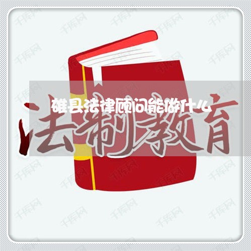 雄县法律顾问能做什么 雄县法律顾问能做什么