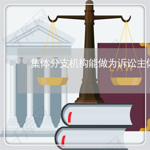 集体分支机构能做为诉讼主体么 集体分支机构能做为诉讼主体么
