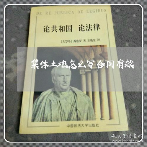 集体土地怎么写合同有效/2023041714936