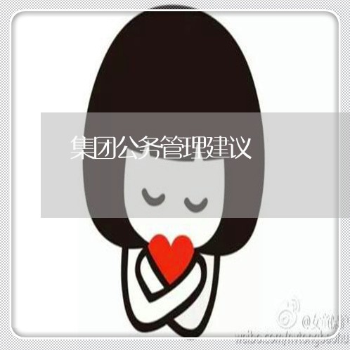 集团公务管理建议 集团公务管理建议