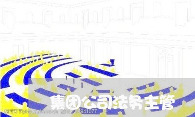 集团公司法务主管 集团公司法务主管
