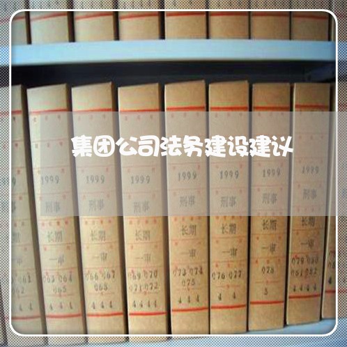 集团公司法务建设建议 集团公司法务建设建议