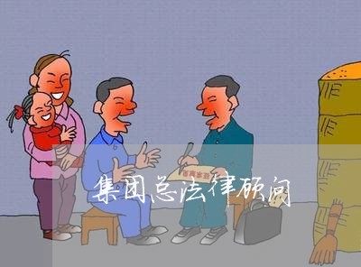 集团总法律顾问/2023061651362 集团总法律顾问/2023061651362