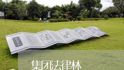 集团法律林 集团法律林
