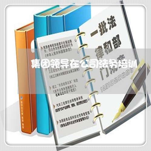 集团领导在公司法务培训 集团领导在公司法务培训