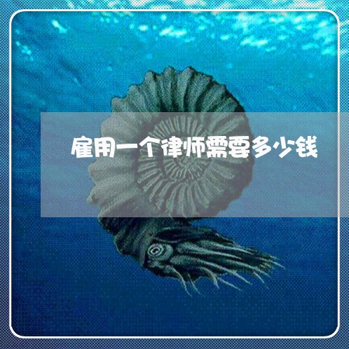 雇用一个律师需要多少钱 雇用一个律师需要多少钱